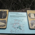 Yellowstone Park Waterfalls Sign